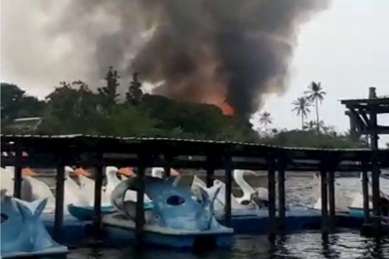 Kebakaran Putri Duyung Ancol, Penyebab Belum Diketahui