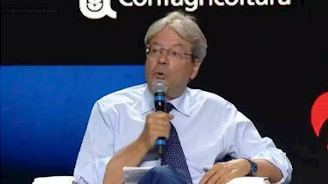 Gentiloni: “Attuare e accelerare piani di recovery, non ripensarli e ricominciare da capo” - Il Sole 24 ORE