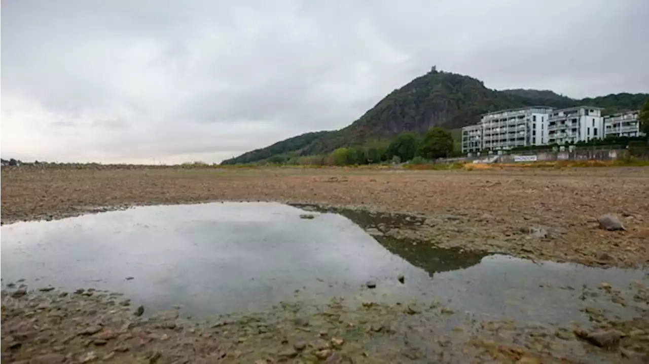 Der trockene Rhein steht für viele Fehler der Vergangenheit