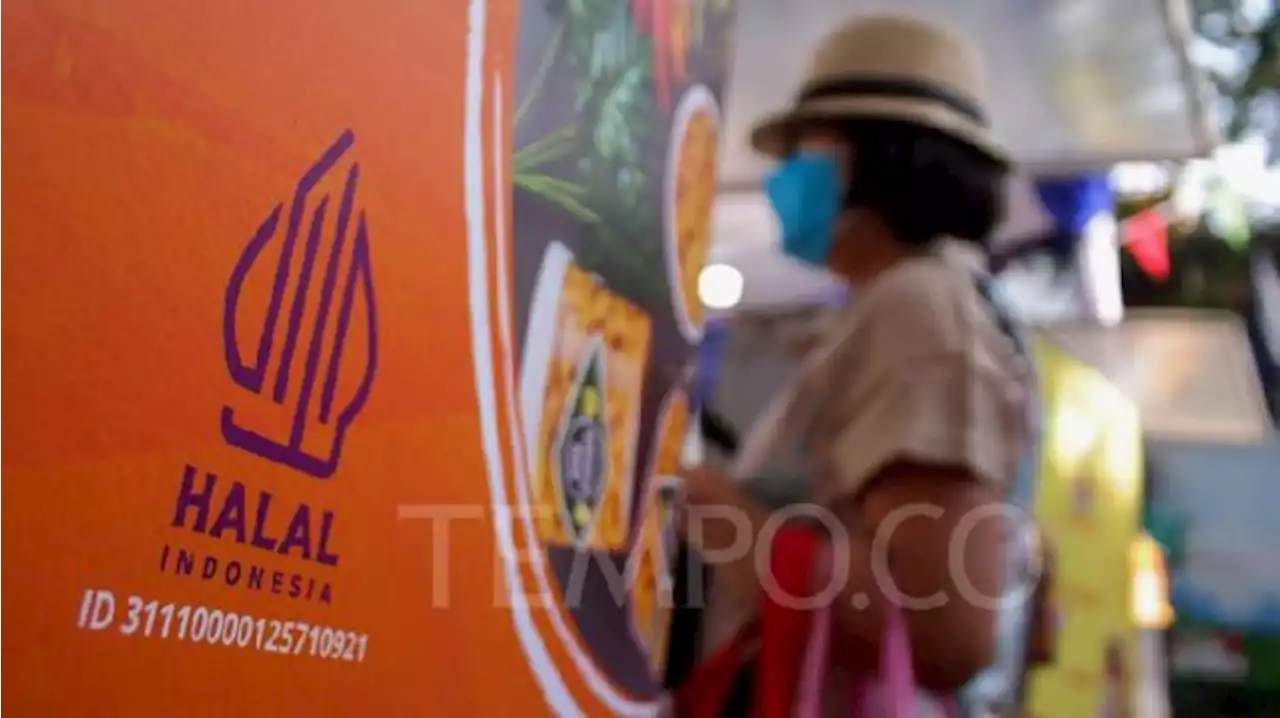 Kemenag Buka Lowongan 6.179 Pendamping Proses Produk Halal, Cek Kuota per Provinsinya