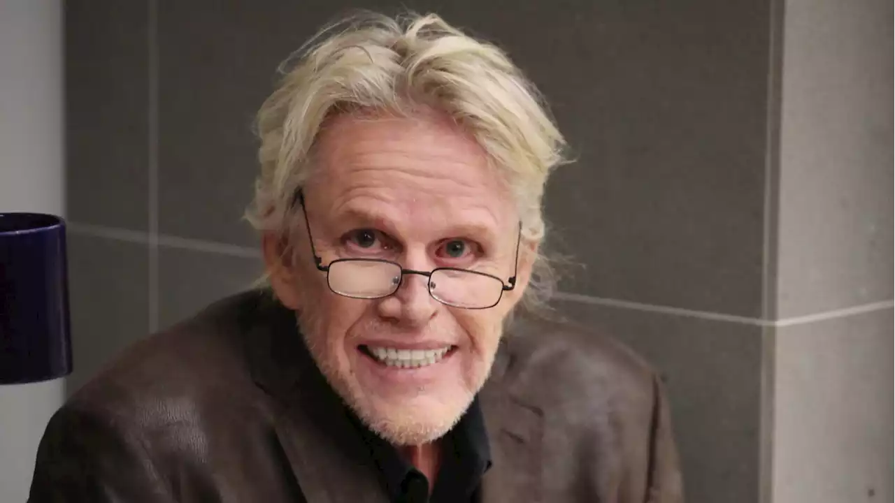 Actor Gary Busey Accused of Sex Crimes at Horror Convention