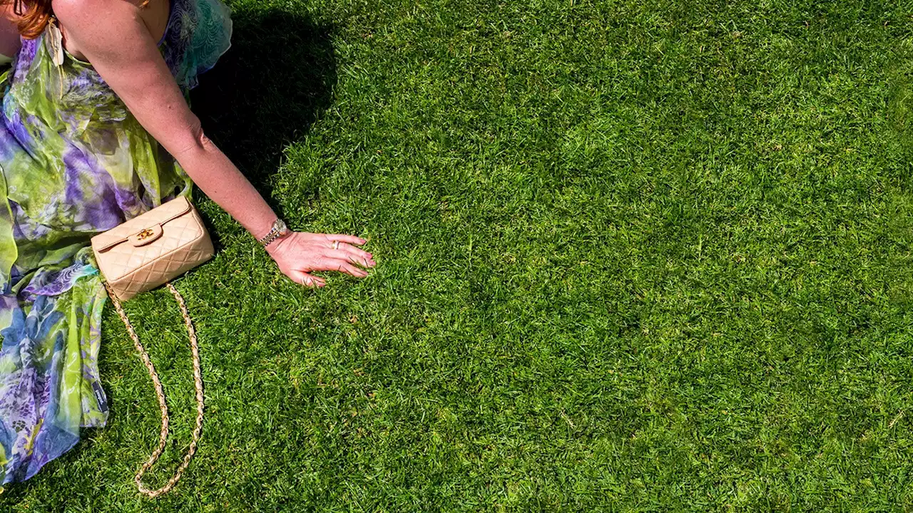 The going gets turf: do lawns have a future in the age of drought?