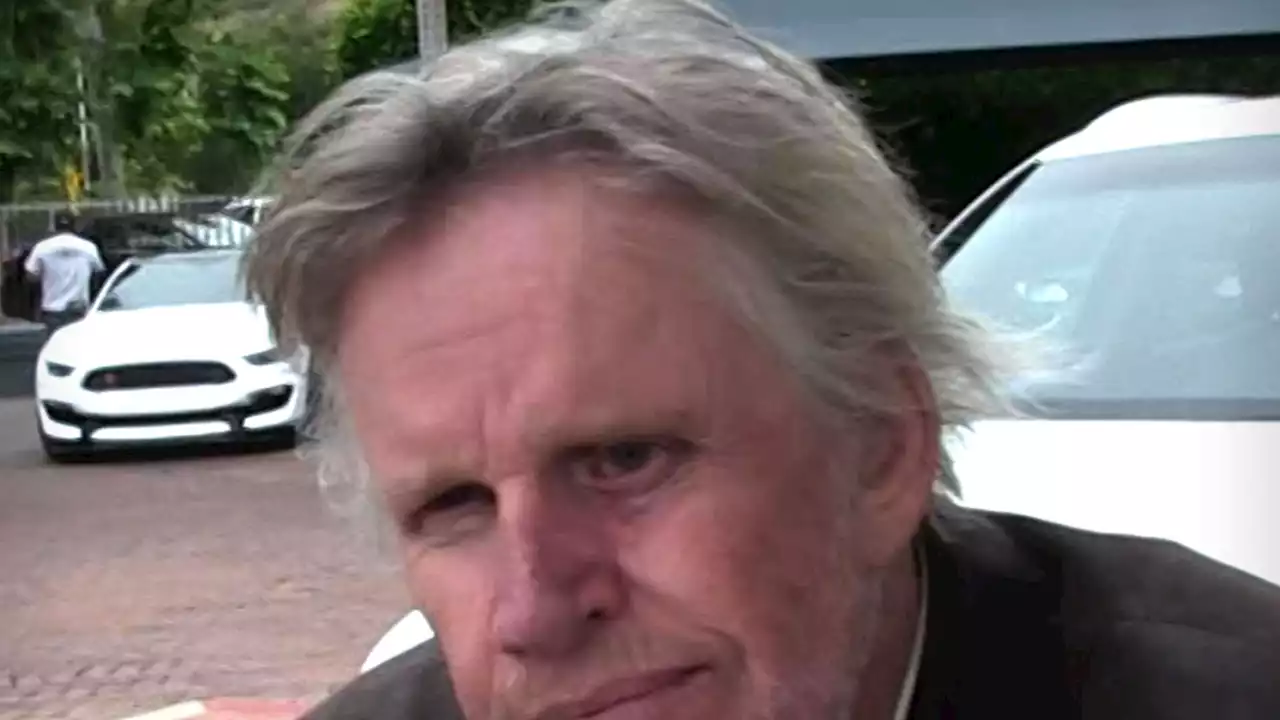 Gary Busey Hit with Sex Offense Charges in New Jersey