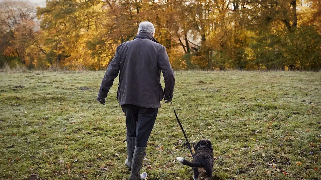 Does your dog have the end of summer blues? How to help your pet cope