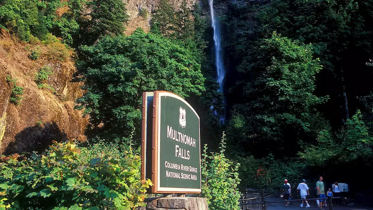 Woman dies after 100-foot fall on hike in Columbia River Gorge near Portland