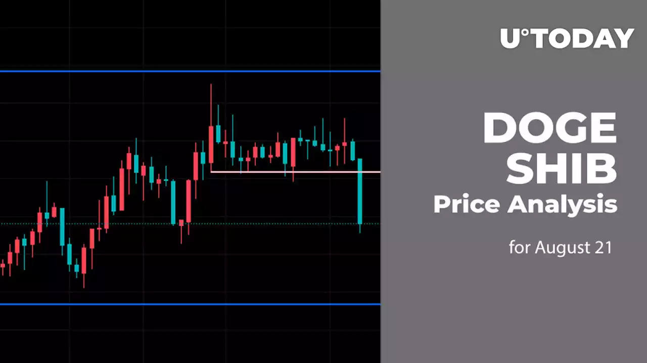 DOGE and SHIB Price Analysis for August 21