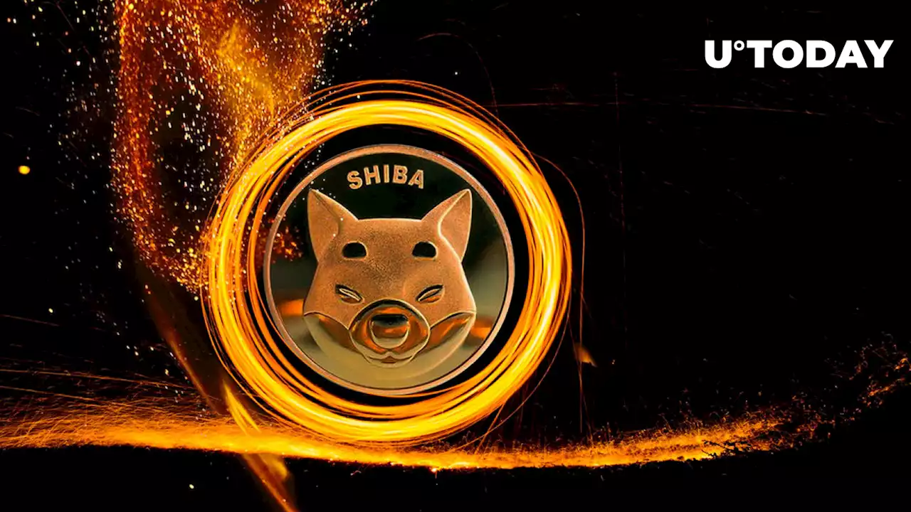 New SHIB Burn Portal Detected, While 105 Million SHIB Gets Removed