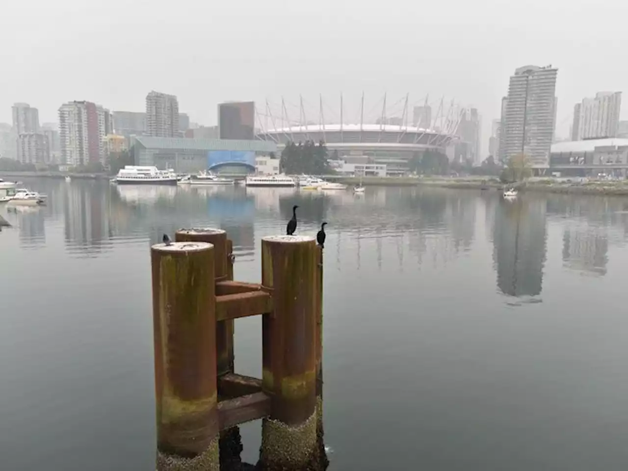Dan Fumano: Vancouver developer behind anonymous group spending thousands on political ads