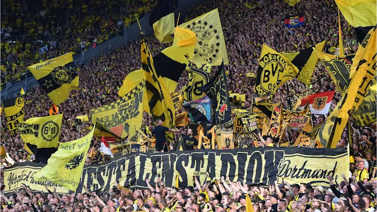 BVB-Fans kritisieren Borussia Dortmund hart – 'Teurer als jeder Puff'