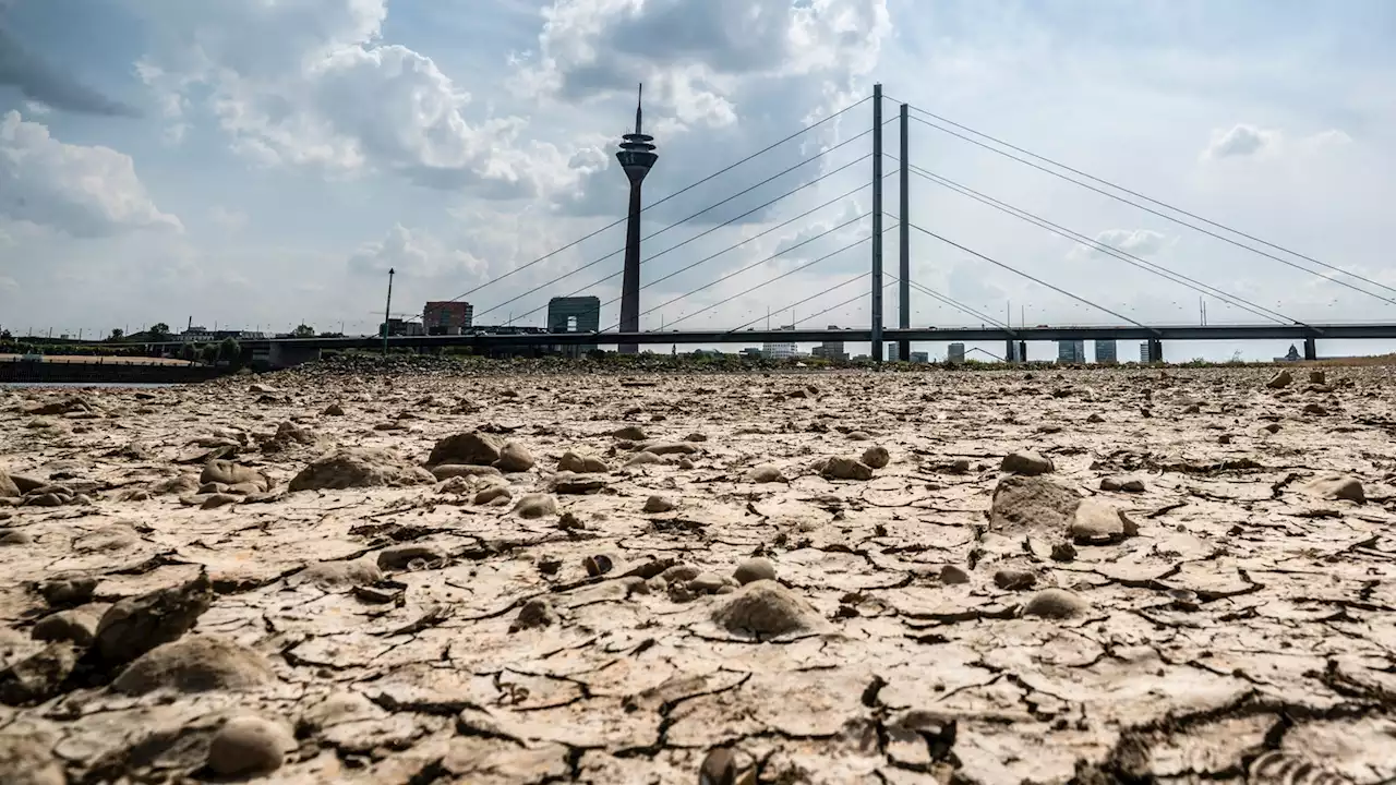 Sorgen wegen Dürre: Klimaangst 'kann uns sogar beflügeln'