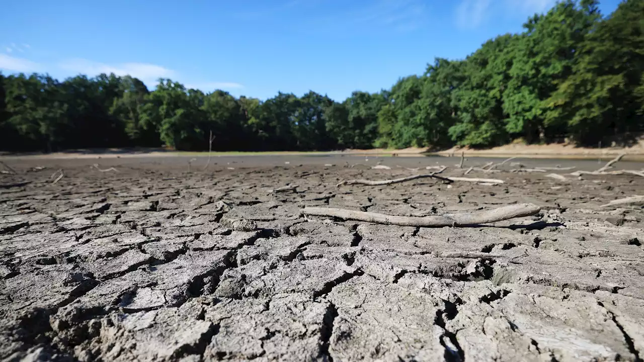 Wenn uns das Wasser ausgeht