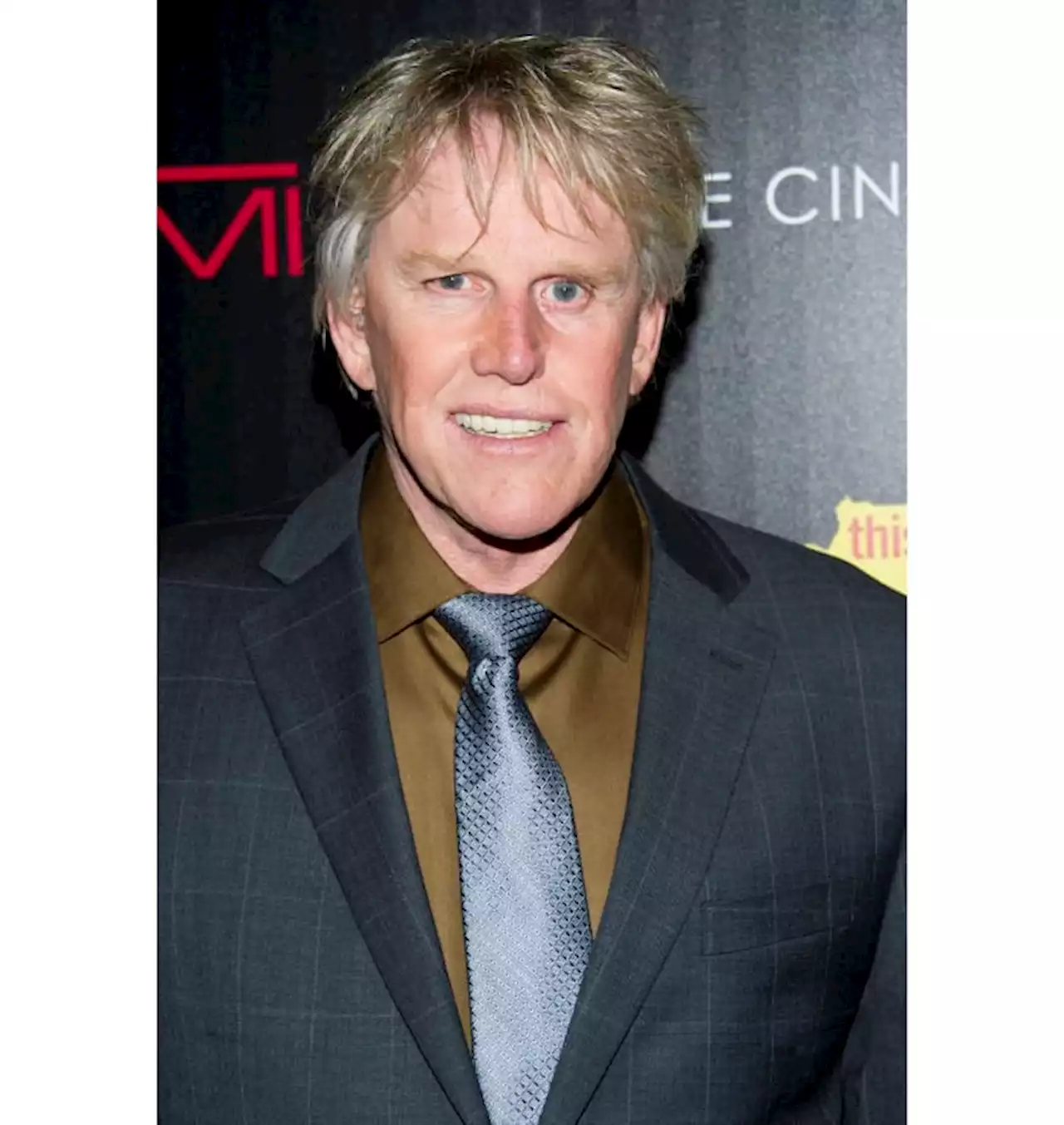 Gary Busey charged with sex offenses at Monster-Mania Con