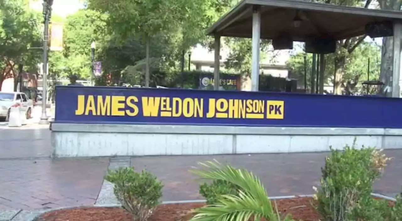 James Weldon Johnson Park approved for 3-year redesign project. What would you like to see there?