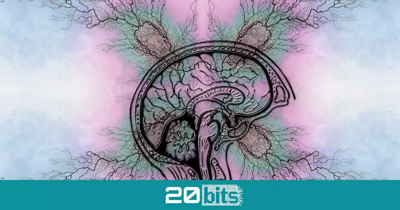 Desarrollan un algoritmo de IA que detecta la epilepsia en sus primeras etapas