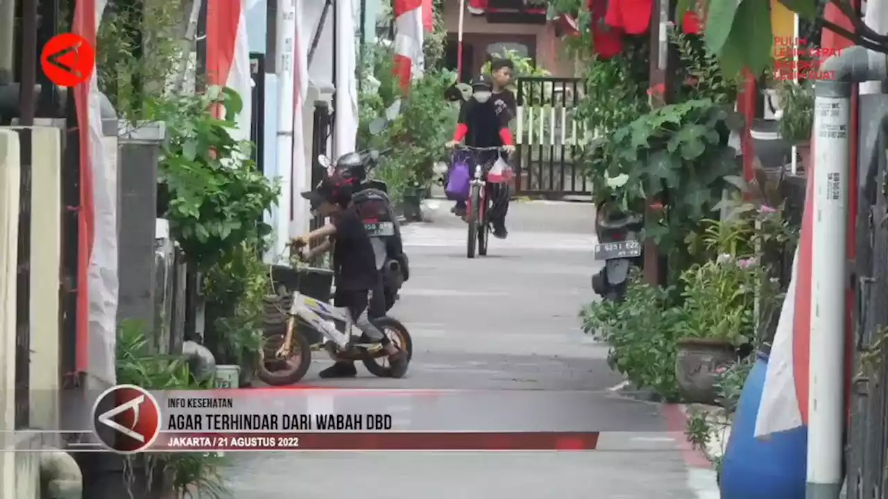 Agar terhindar dari wabah DBD - ANTARA News