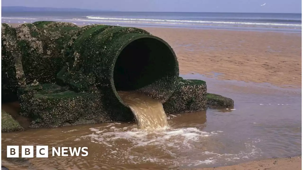 English beach sewage dumps not monitored properly, data shows