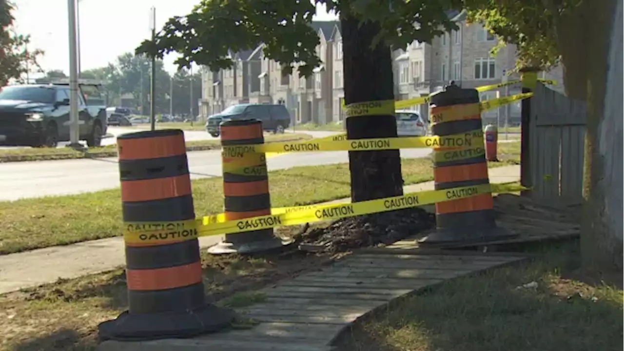 3 siblings, all under 20 years old, killed in fiery Brampton car crash | CBC News