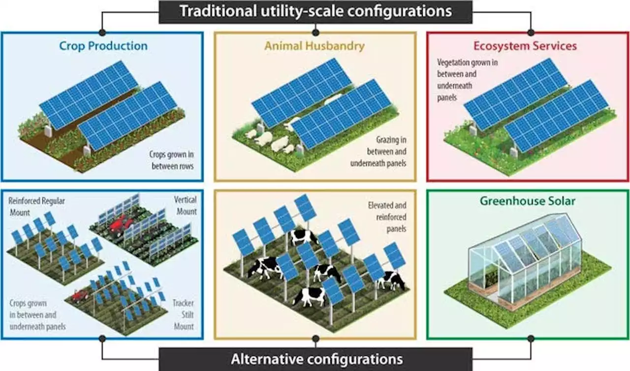 Agrivoltaics: Growing Plants, Power, & Partnerships