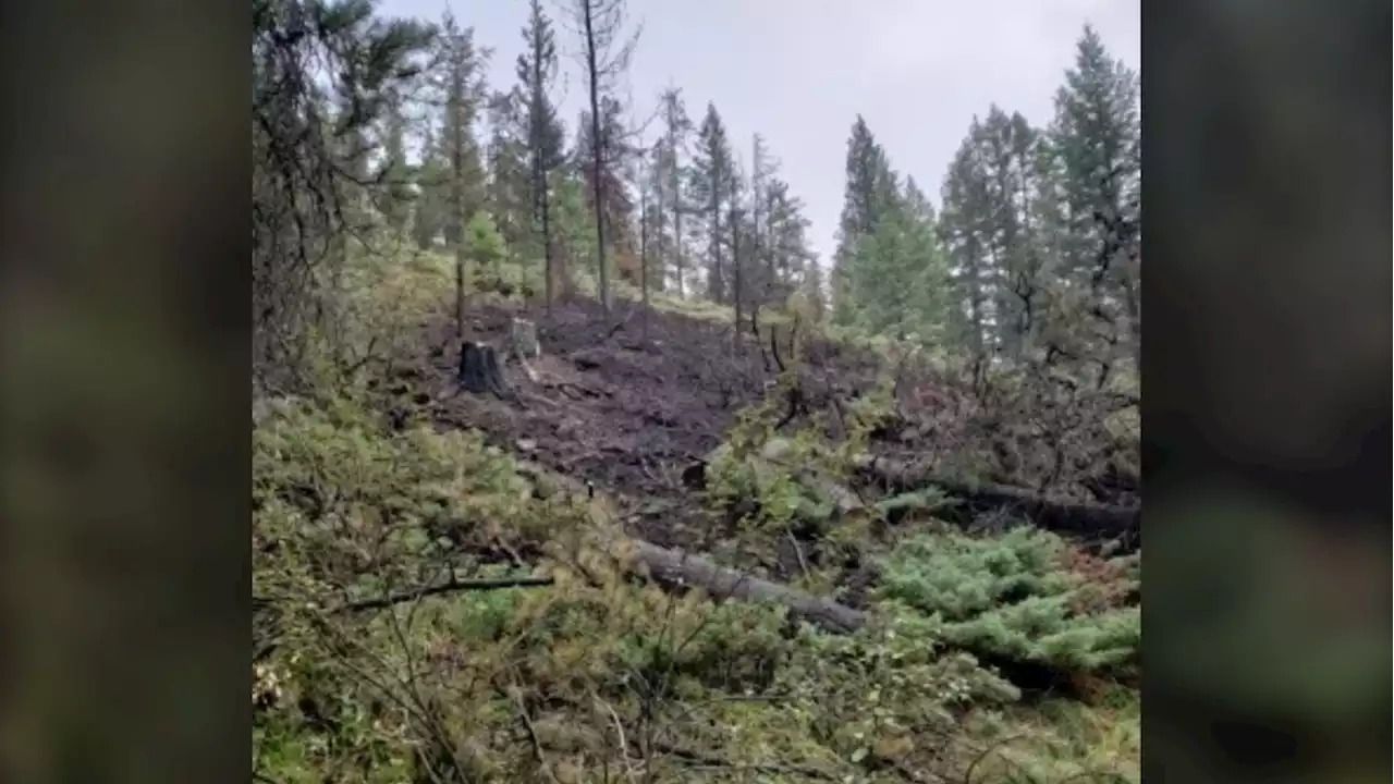 Lightning sparks wildfire near Fairmont Banff Springs Golf Course