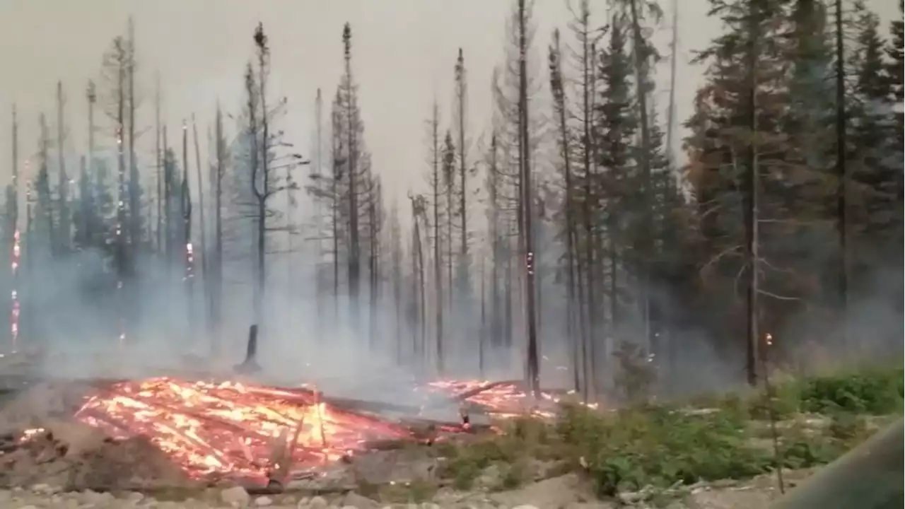 Firefighters monitor large 'out of control' wildfire on Vancouver Island