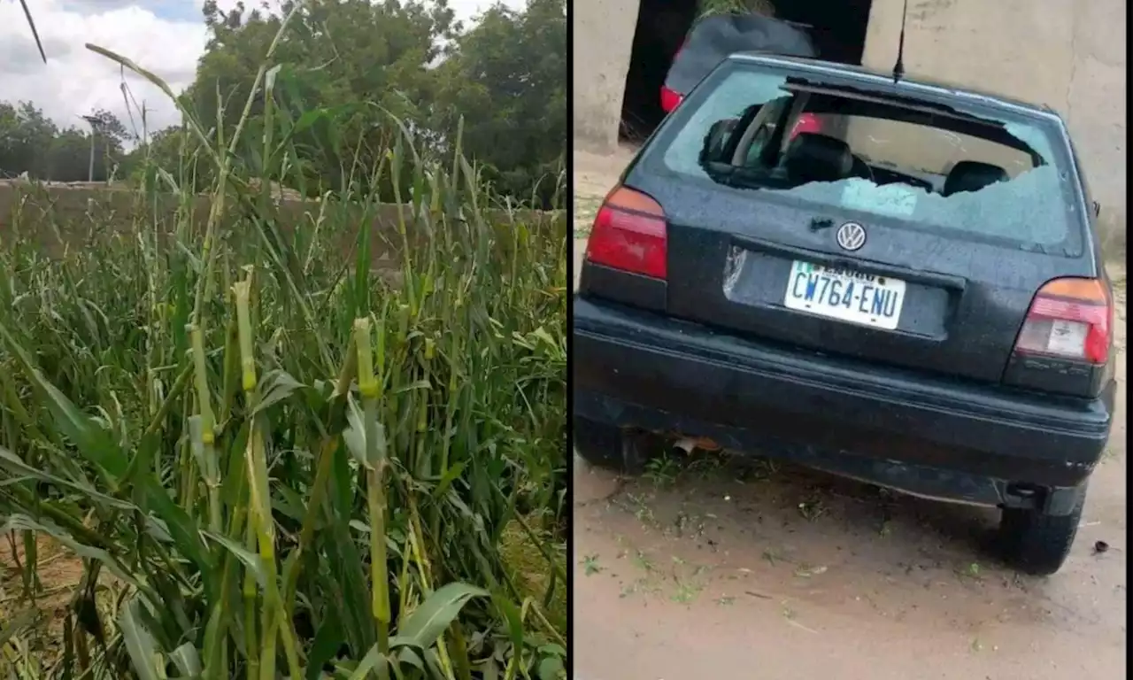 Hail destroys farm produce, houses in Jigawa