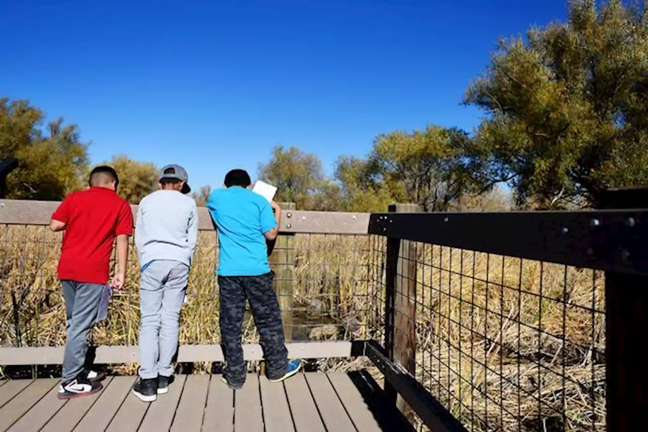 Bluff Lake is Denver’s best birdwatching spot — and a bridge to the city’s history