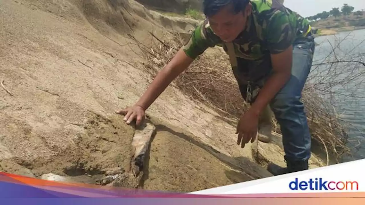 Jalan Terjal Penelitian Jejak Kehidupan Hewan Purba di Pelosok KBB