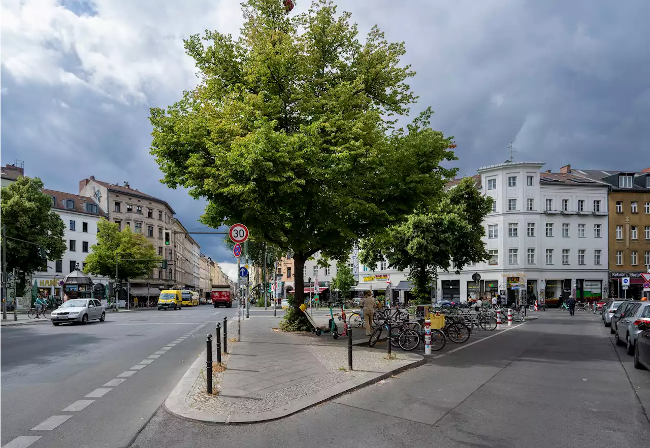 Würdigung - Berlin benennt Platz nach Sänger Rio Reiser