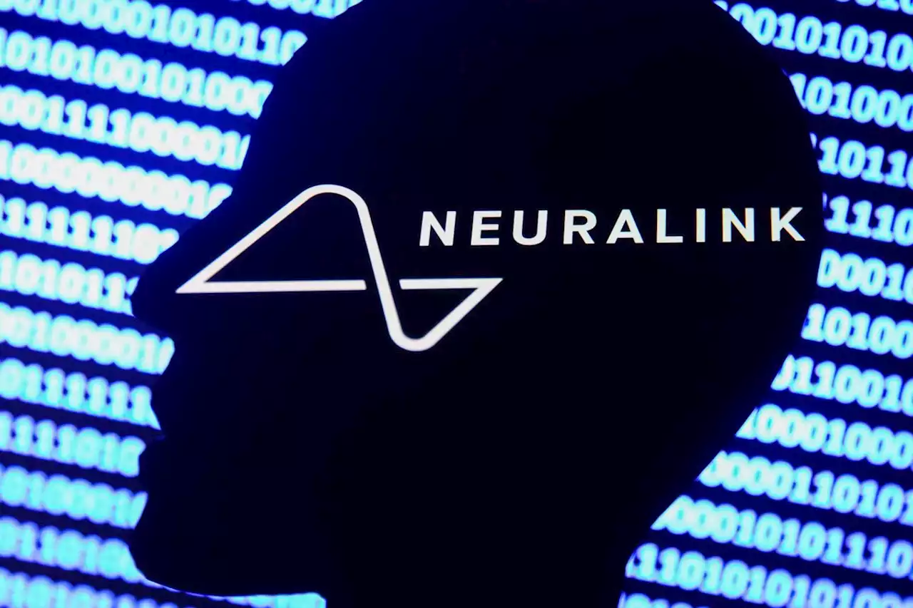 Elon Musk's Neuralink will show brain implant progress at a Halloween show-and-tell | Engadget