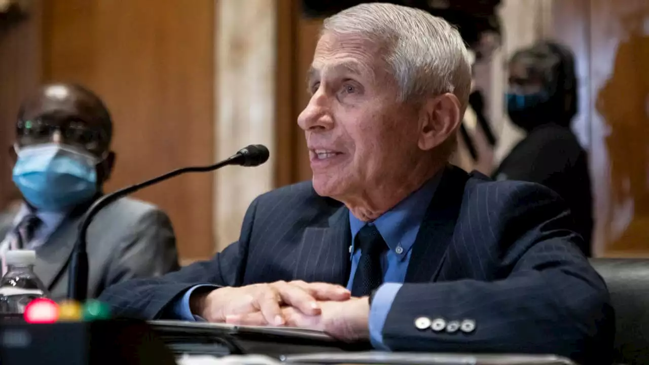 Fauci, nation's top infectious disease expert, to retire in December