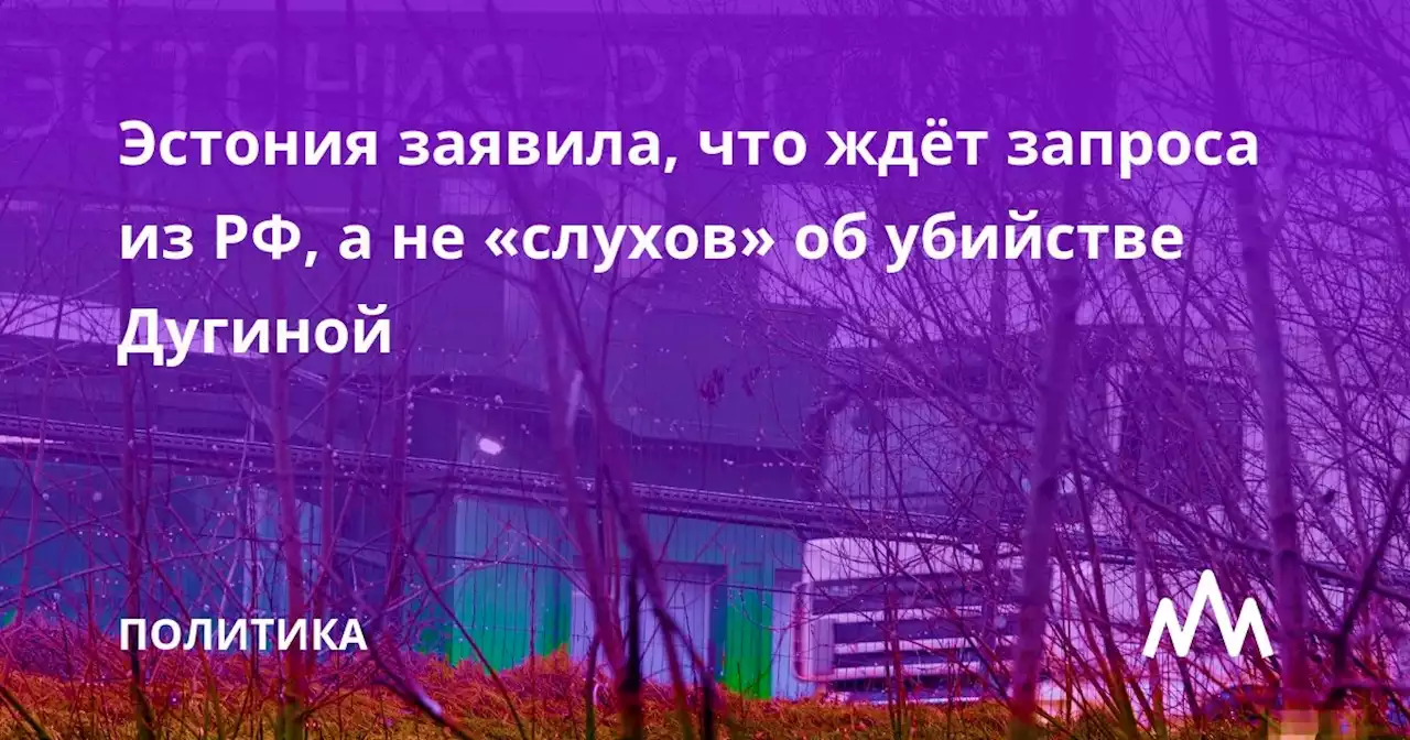 Эстония заявила, что ждёт запроса из РФ, а не «слухов» об убийстве Дугиной