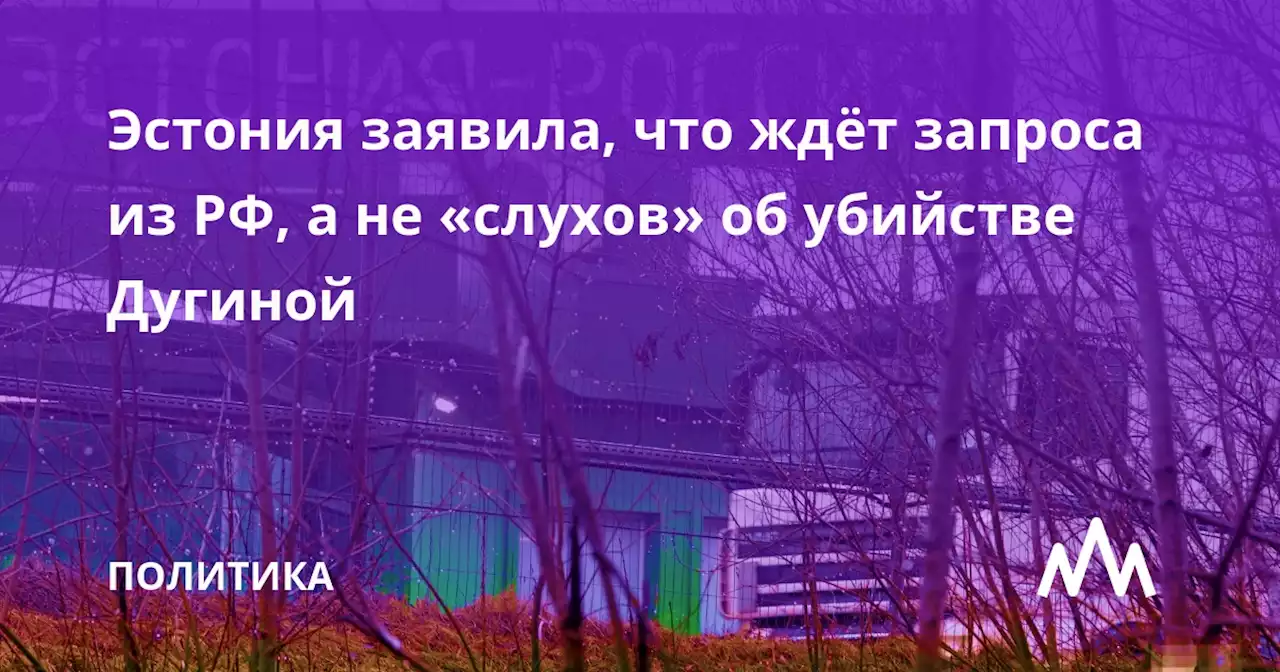Эстония заявила, что ждёт запроса из РФ, а не «слухов» об убийстве Дугиной