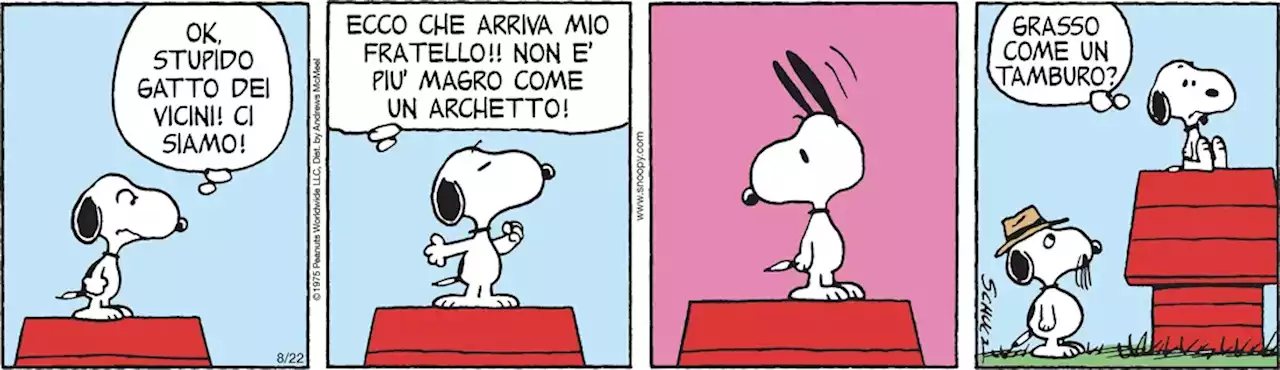 Peanuts 2022 agosto 22 - Il Post