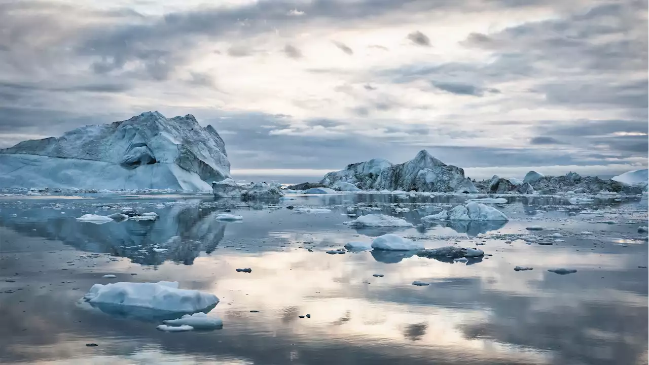 New research estimates that The Arctic may be warming four times faster than the rest of the world