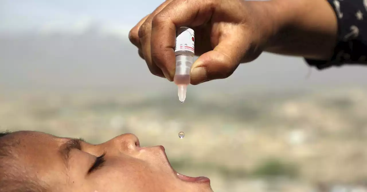 Polio in US, UK and Israel reveals rare risk of oral vaccine