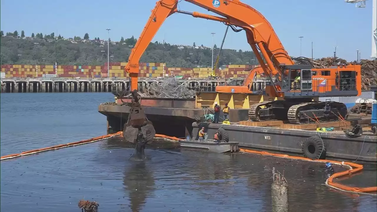 Crews removing nearly 2,000 toxic pilings from Harbor Island shoreline