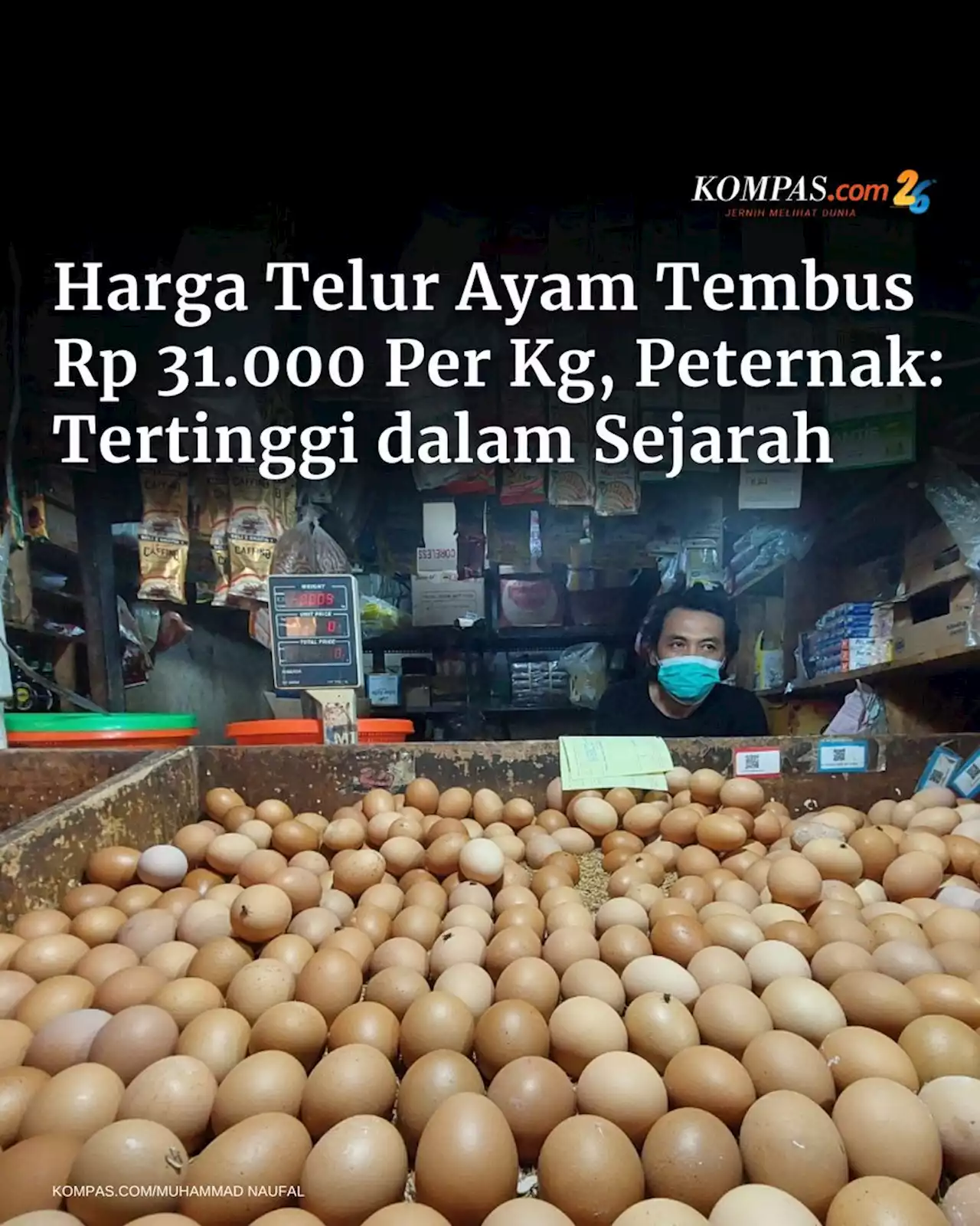 Harga Telur Ayam Tembus Rp 31.000 Per Kg, Peternak: Tertinggi dalam Sejarah