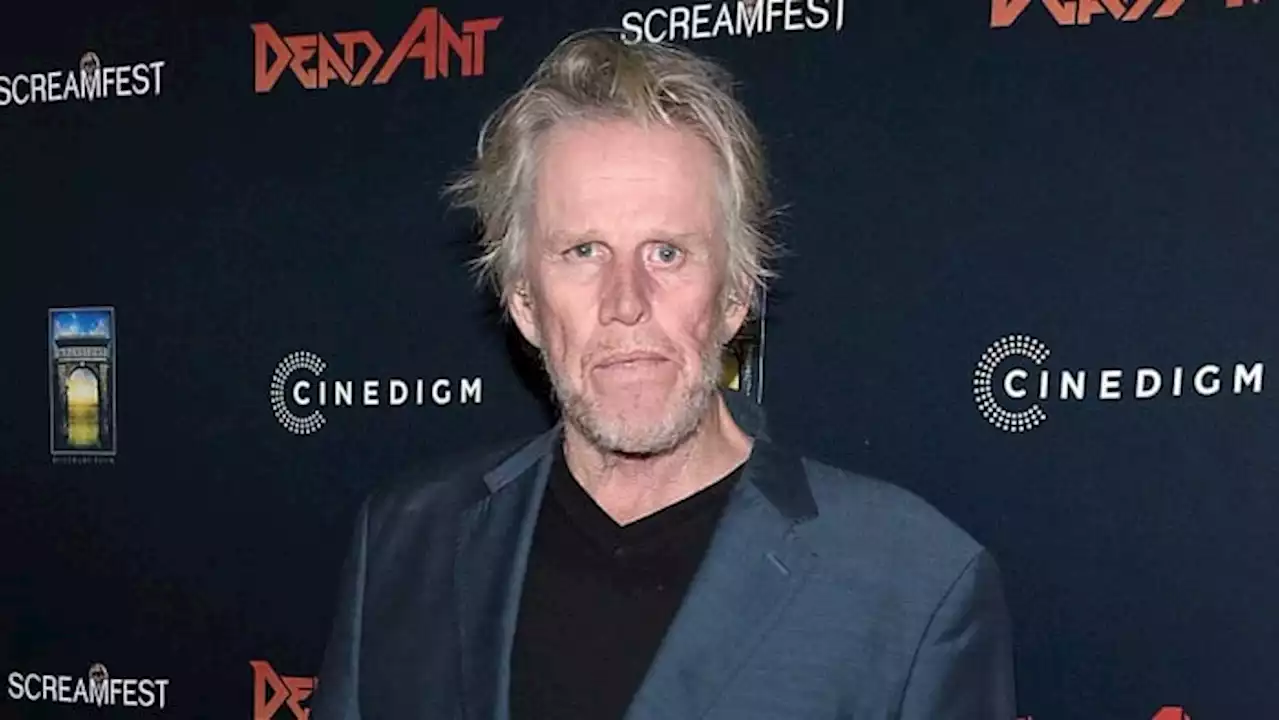 Horror film convention promoter speaks after Busey charges