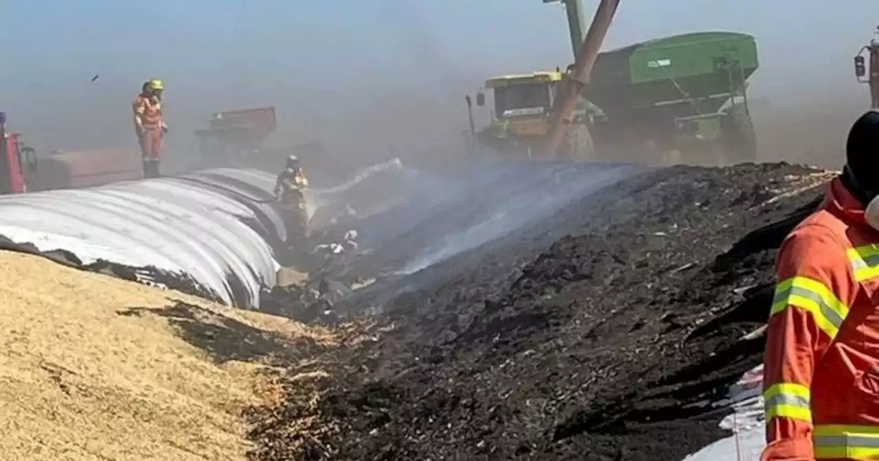 Vandalismo: productores de Córdoba denunciaron incendios intencionales en campos y silos bolsa | Agro | La Voz del Interior