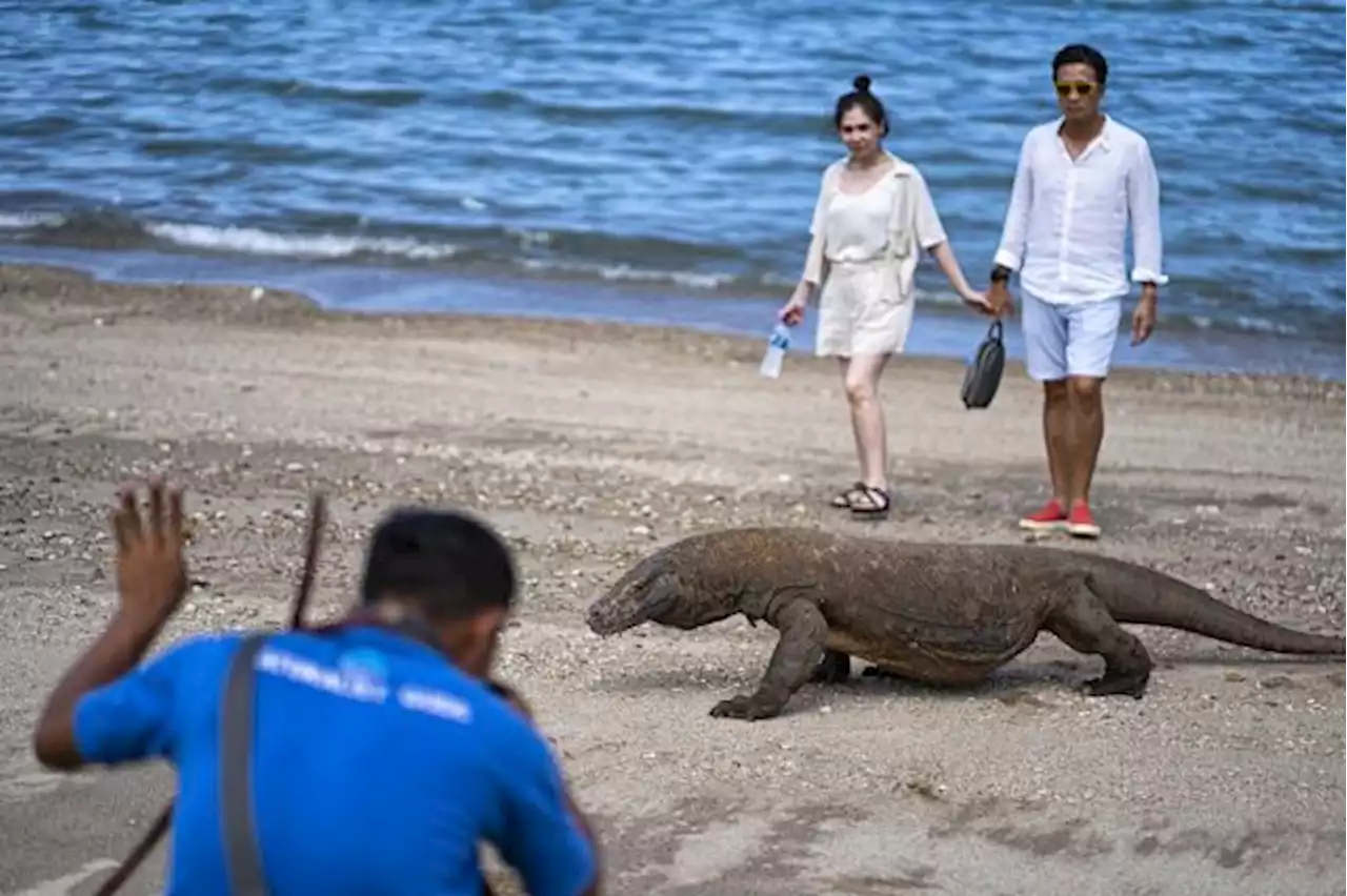 Pemerintah Rapikan Infrastruktur Wisata Taman Nasional Komodo