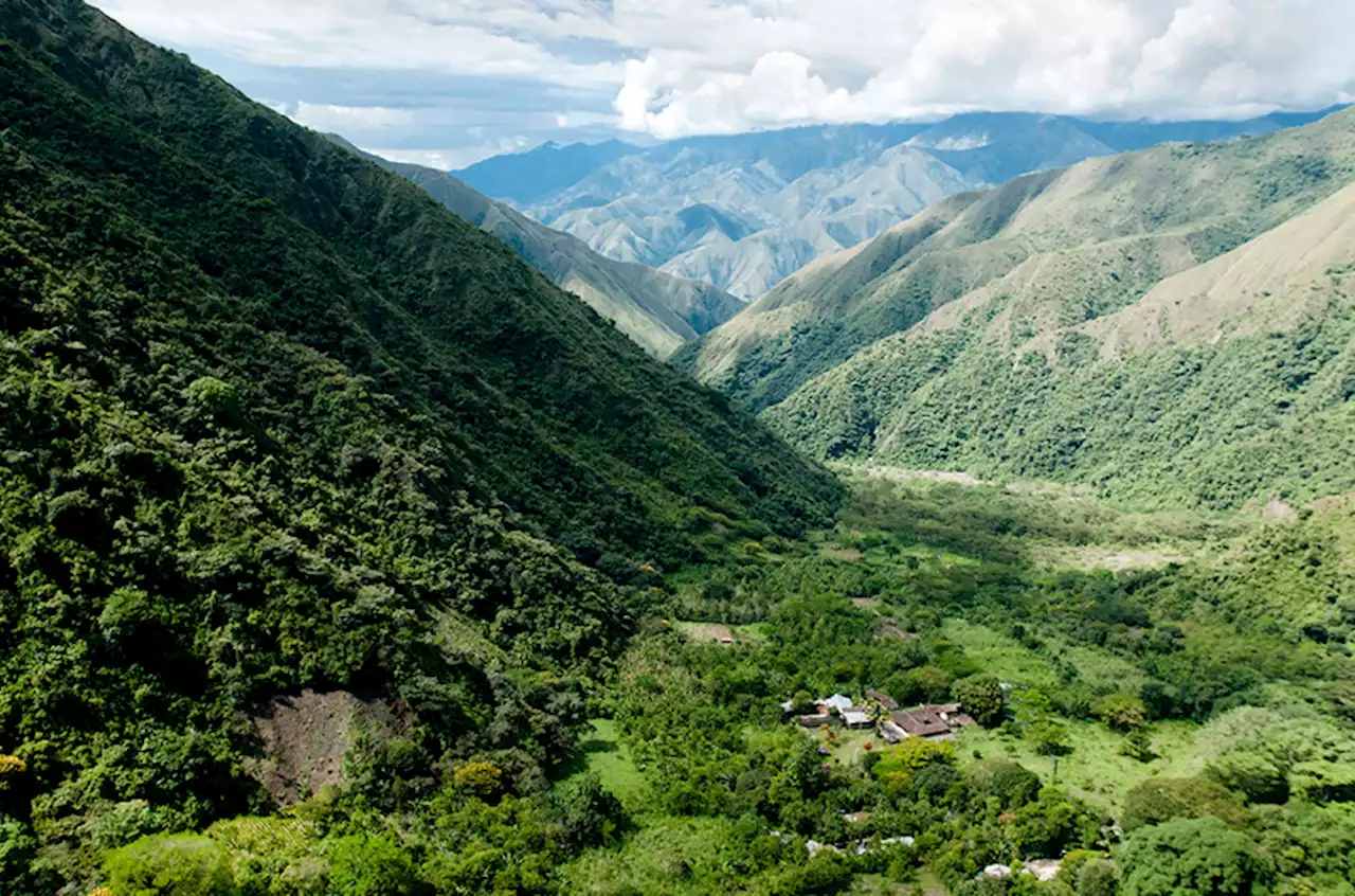 Blockade at Zijin’s Colombia gold mine is lifted