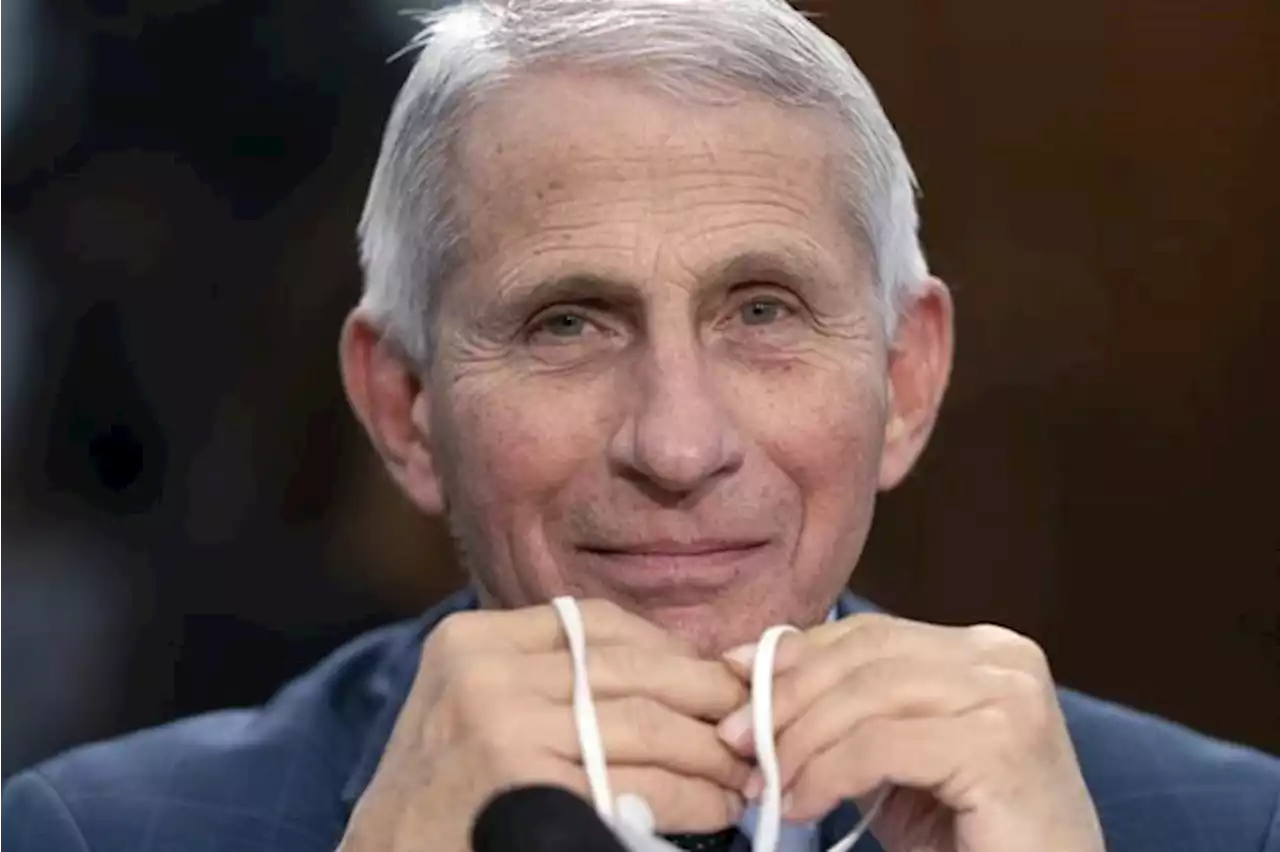 Fauci, top infectious disease expert, to retire in December | National Newswatch