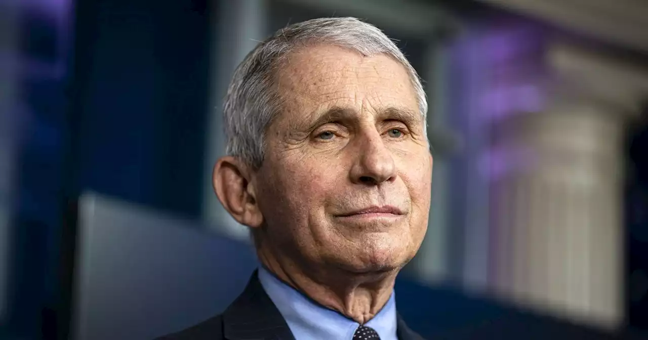 Anthony Fauci to step down in December