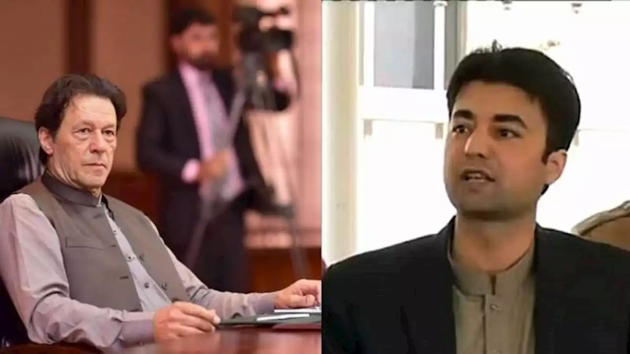 عمران خان کی گرفتاری کے احکامات جاری ہوچکے: مراد سعید