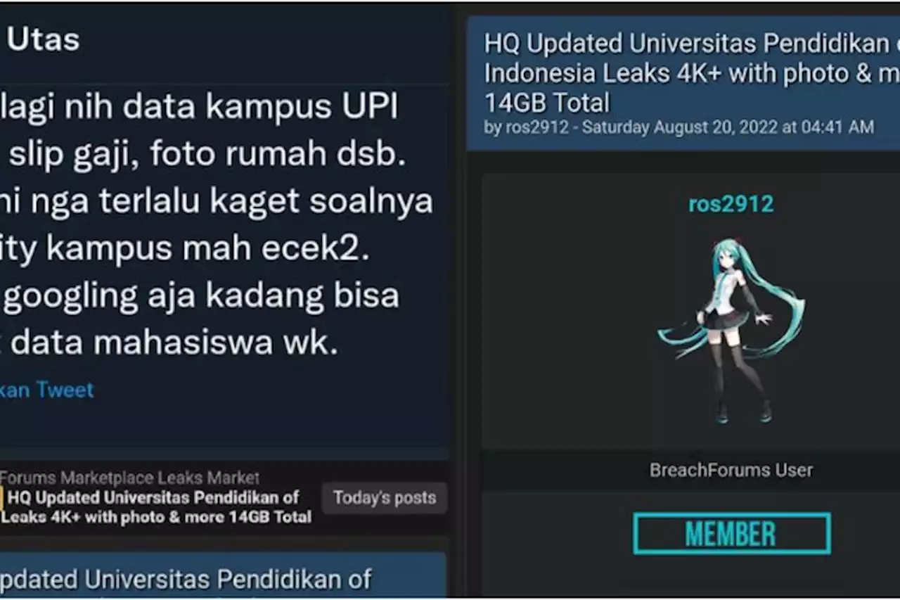 Soal Dugaan Kebocoran Data Mahasiswa, Universitas Pendidikan Indonesia Beri Klarifikasi: Bukan dari Kampus - Pikiran-Rakyat.com