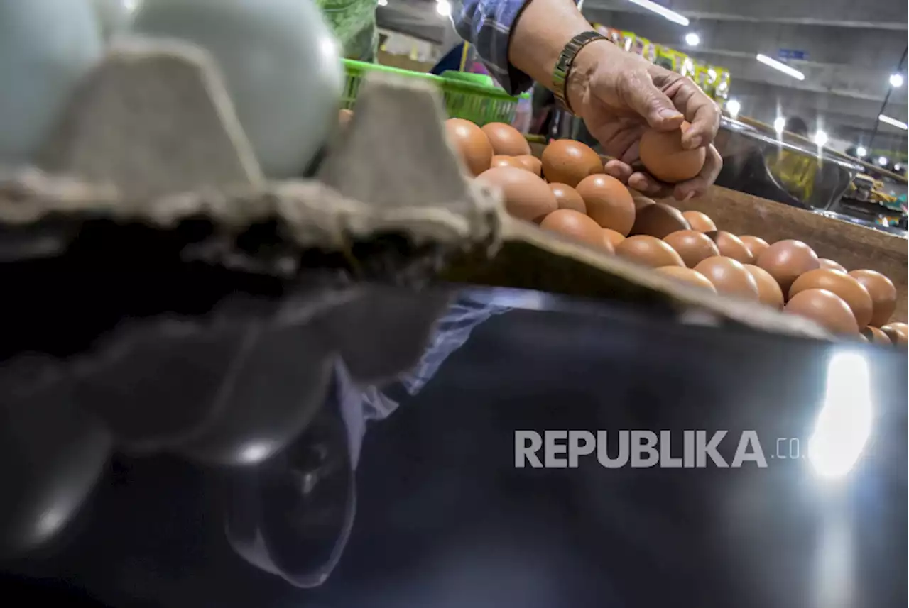 Harga Telur Ayam Naik Lagi, Ini Penjelasan Kemendag |Republika Online