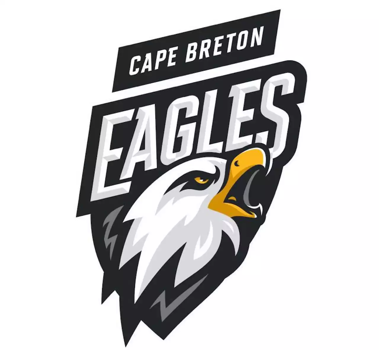 Cape Breton Eagles release 16 players from training camp | SaltWire