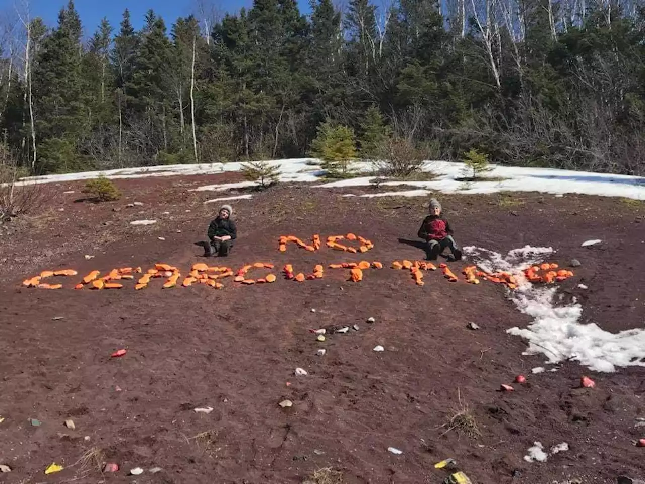 Community group taking provincial government to court over clearcutting plan in eastern Newfoundland | SaltWire