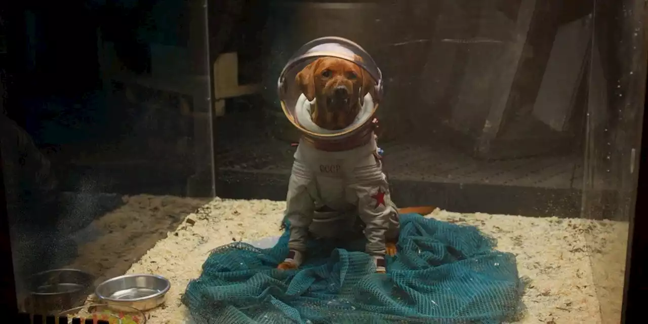 Guardians of the Galaxy 3 Star Reflects on Playing Cosmo the Space Dog