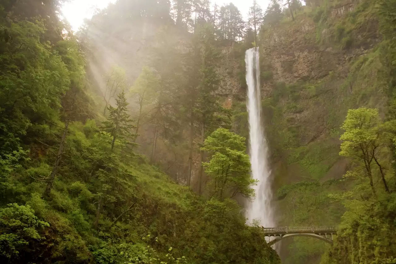 Woman falls 100 feet, dies at Multnomah Falls